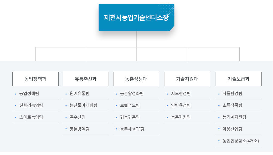 조직도